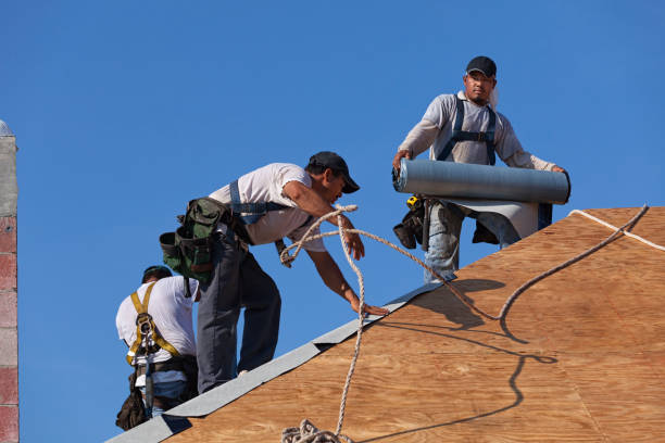 Best Roof Leak Repair  in Alexandria Bay, NY
